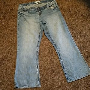 Maurices Amber Bootcut size 16 short